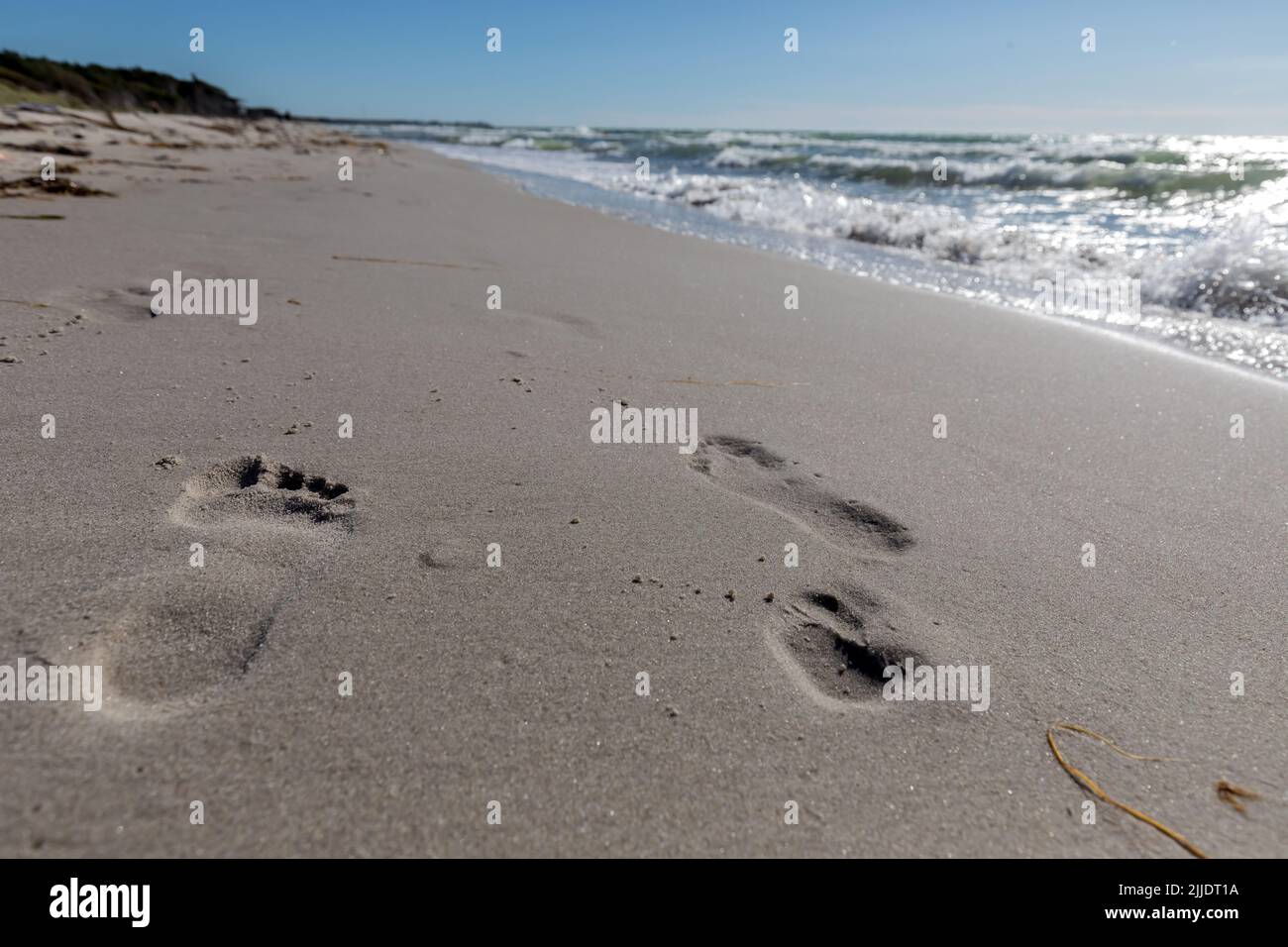 Des traces de pas dans le sable humide Banque D'Images