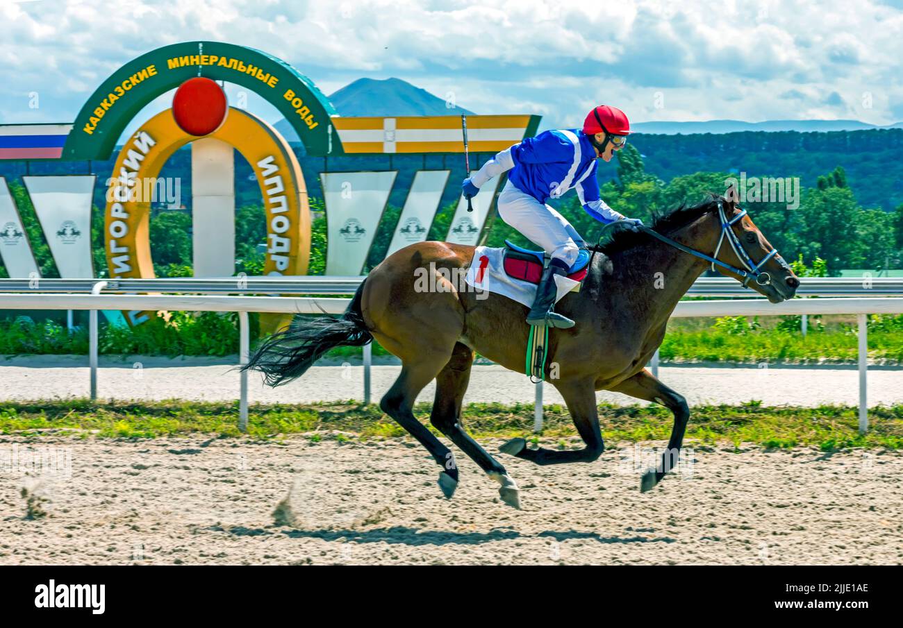 Course de fin de cheval pour le prix est restrictif dans l'hippodrome de Pyatigorsk, dans le nord du Caucase. Banque D'Images