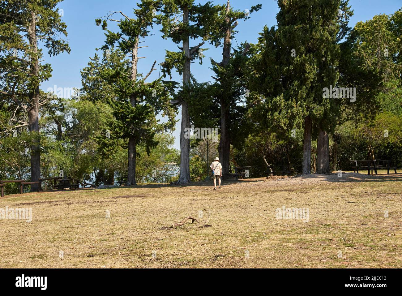 Environnement naturel ensoleillé, un homme méconnaissable vu de l'arrière en profitant d'un après-midi d'été dans le parc national d'El Palmar, entre Rios, Argentine. Banque D'Images