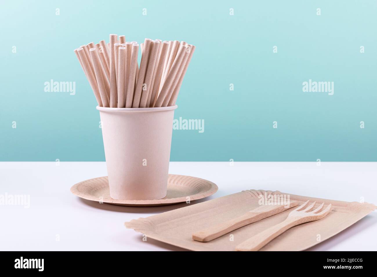 Vaisselle jetable écologique.Assiettes en papier, tasses, pailles et couverts en bois.Aucun déchet, articles sans plastique.Concept de mode de vie durable.Copier Banque D'Images