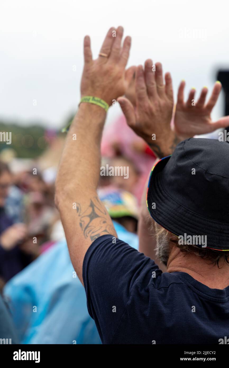 Mains et bras dans l'air dans la foule au Festival de Carfest Nord Banque D'Images