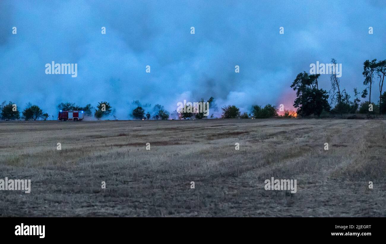 Brandenburg, Kölsa: 25 juillet 2022, feux de forêt dans la forêt près du village dans la région Falkenberg /Elster. Le personnel administratif du district a ordonné l'évacuation de Rehfeld en début de soirée. Plus tard, cette précaution serait également ordonnée pour la colonie de Kölsa et Kölsa dans la ville de Falkenberg (Elster). Environ 400 personnes y sont affectées. Photo: Frank Hammerschmidt/dpa Banque D'Images