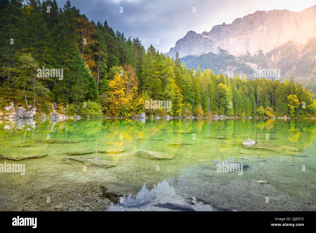 Eibsee lac translucide à l'automne doré avec des pins, Bavière, Allemagne Banque D'Images