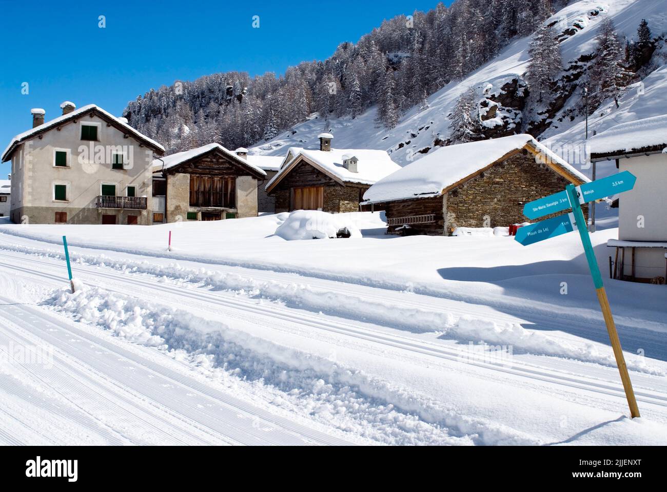 Piste de ski de fond au Village Isola à Lake Sils, également appelé Goat Village en hiver, Suisse, Grisons, Oberengadin Banque D'Images