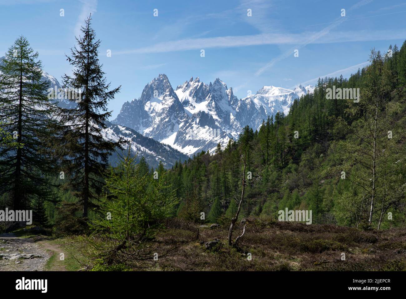 Paysage des Alpes françaises avec les aiguilles rouges et le massif du Mont blanc Banque D'Images