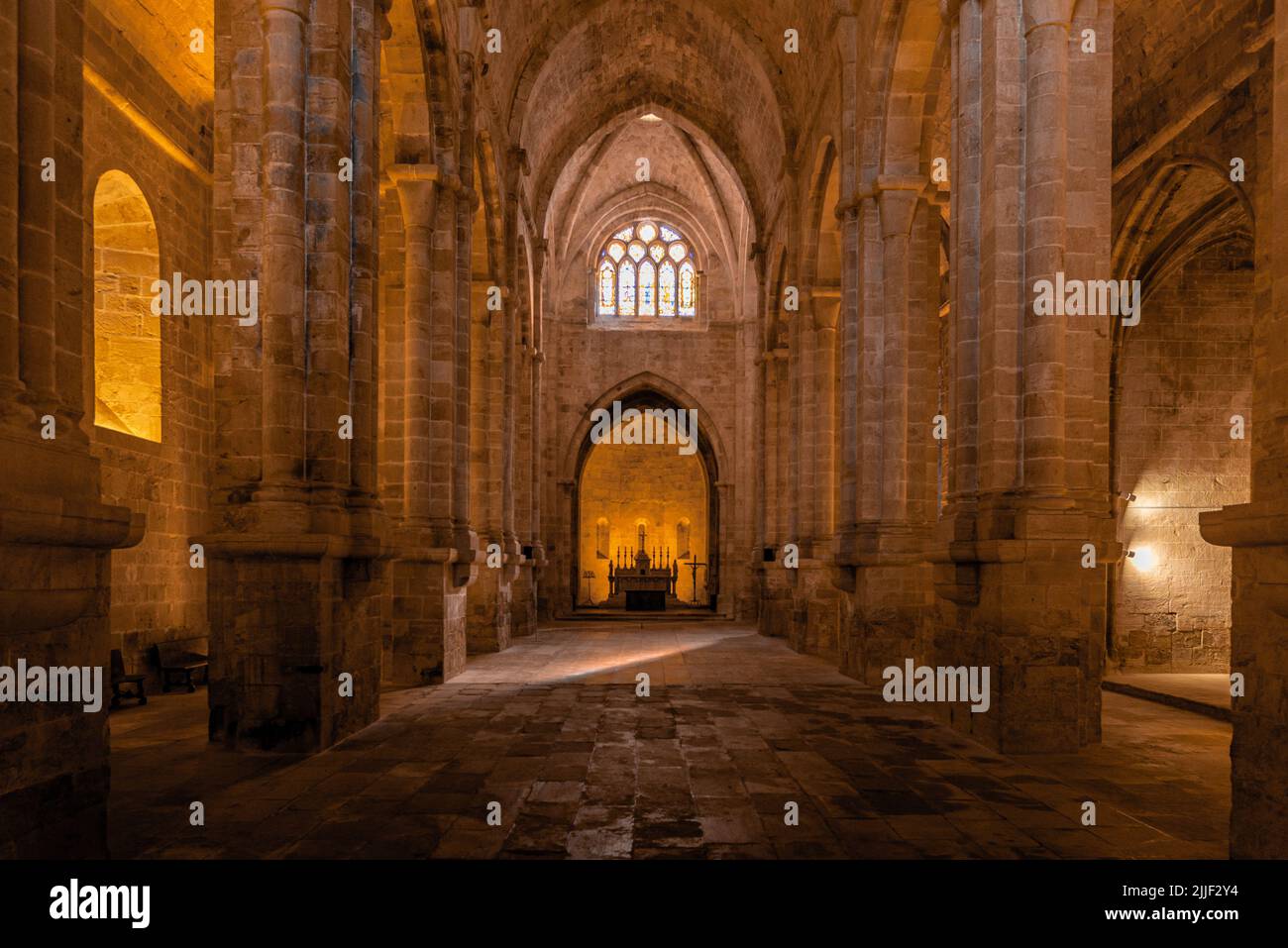 La nef de l'abbaye de Frontfroide, France, avec un éclairage naturel et artificiel et aucun peuple Banque D'Images