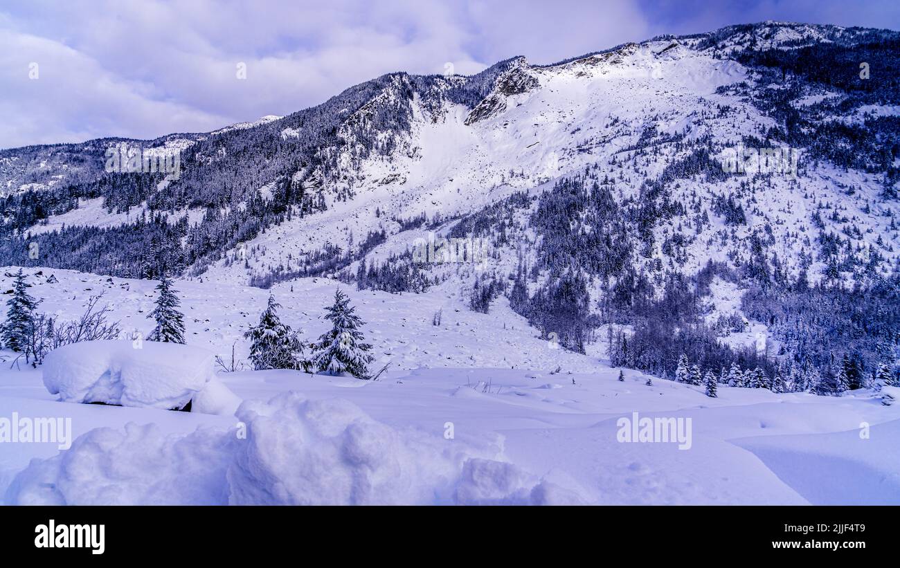 Paysage d'hiver au Hope Slide le long de la route Crowsnest en Colombie-Britannique, Canada Banque D'Images