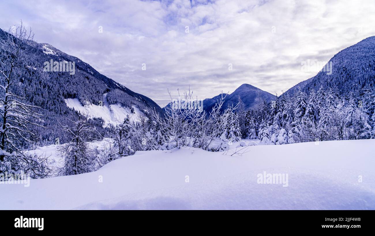 Paysage d'hiver au Hope Slide le long de la route Crowsnest en Colombie-Britannique, Canada Banque D'Images