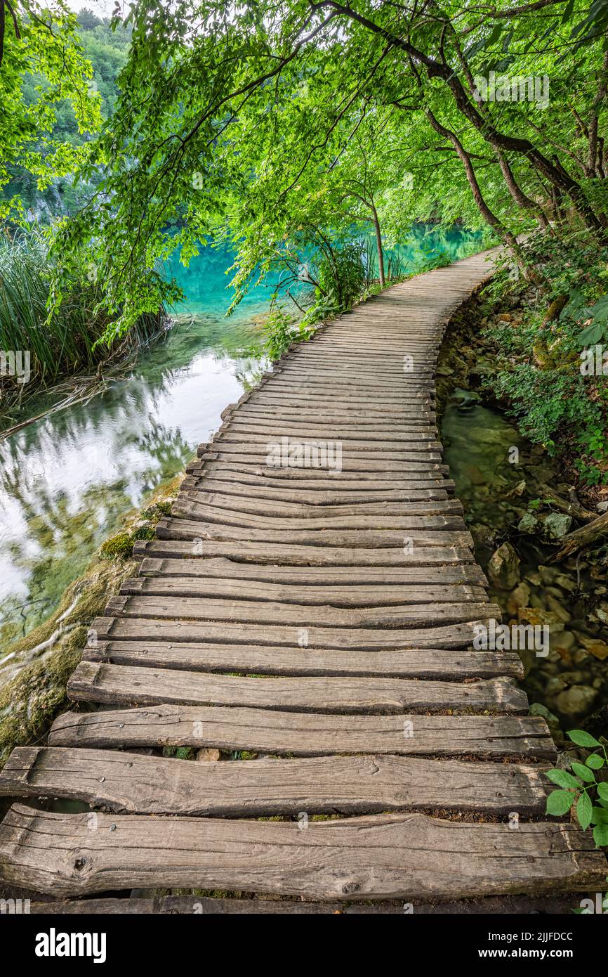 Plitvice, Croatie - passerelle en bois dans le parc national des lacs de Plitvice lors d'une journée d'été lumineuse avec de l'eau turquoise cristalline, de petites cascades et gre Banque D'Images