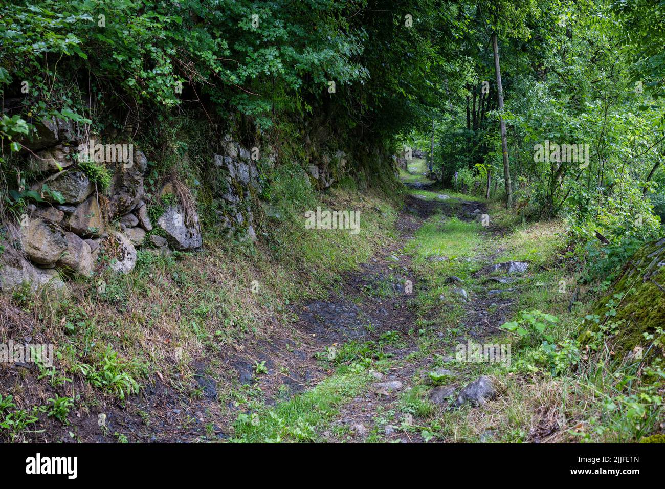 Sentier Subero, ville d'Oô, Occitanie, canton de Bagnères-de-Luchon, chaîne de montagnes pyrénéennes, France Banque D'Images