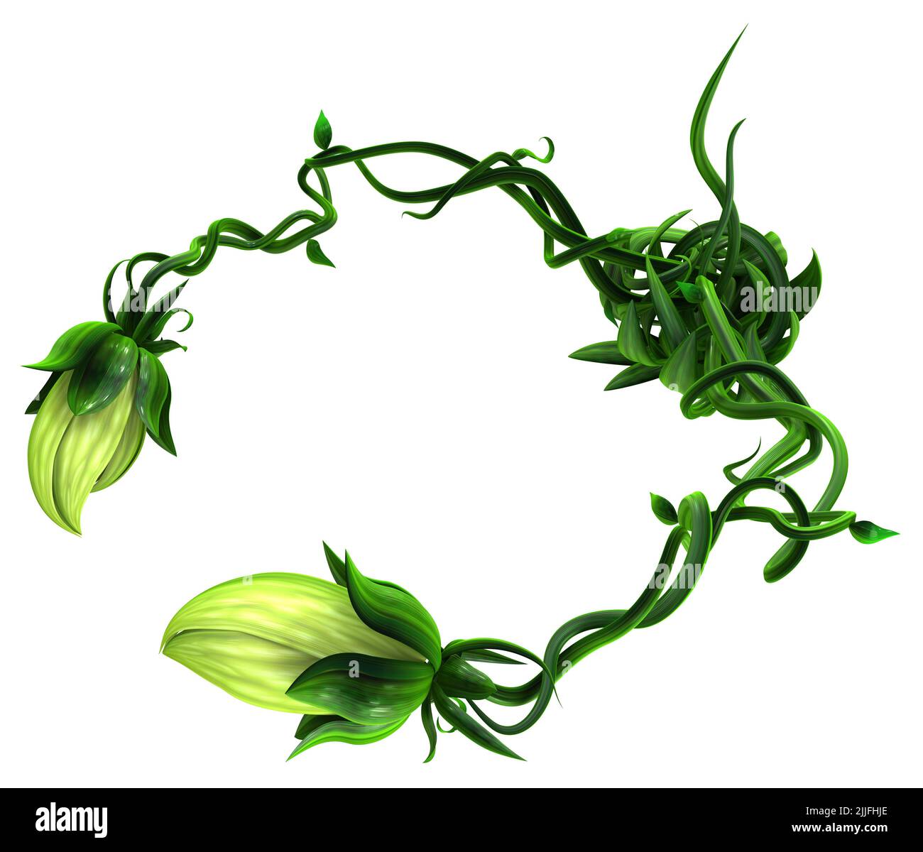 Palans de crabe mordant vert de plante, illustration 3D, horizontal, isolé, sur blanc Banque D'Images