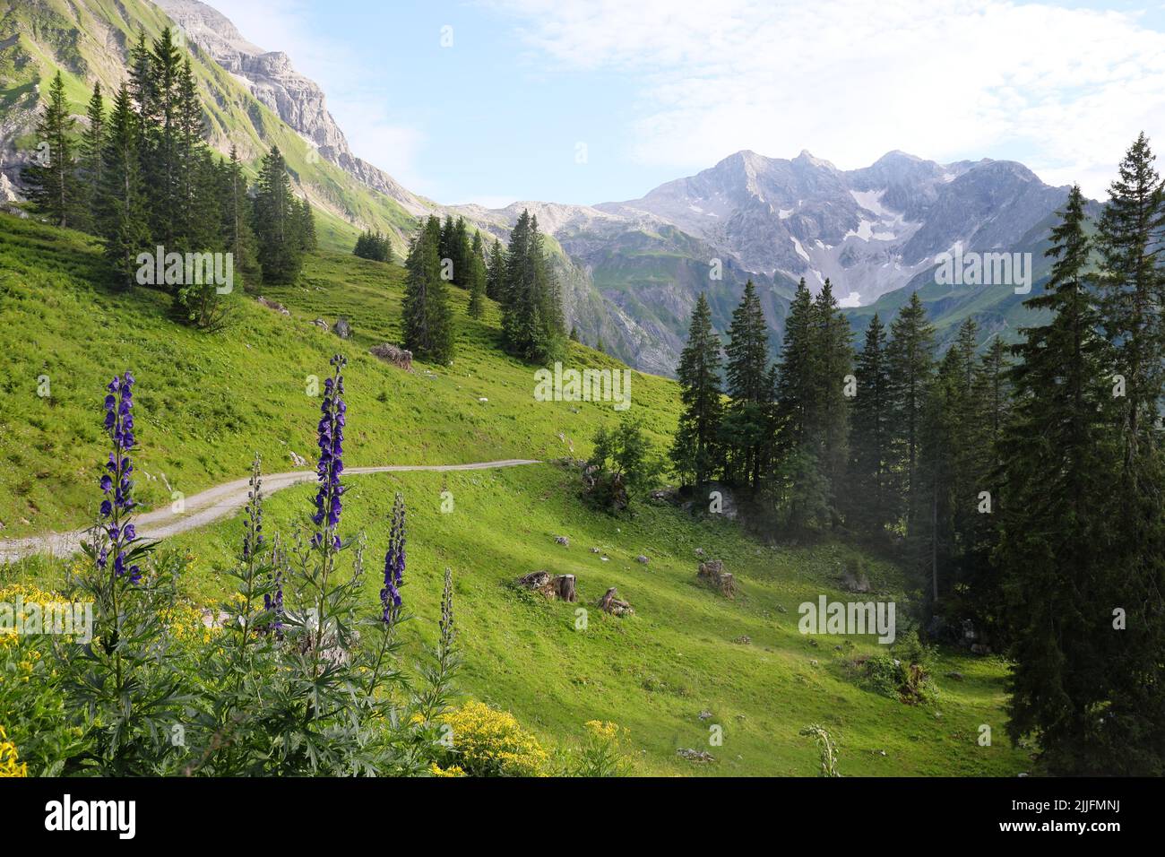Magnifique paysage alpin à Tannberg près de Schröcken en Autriche. Juillet 2022. Banque D'Images
