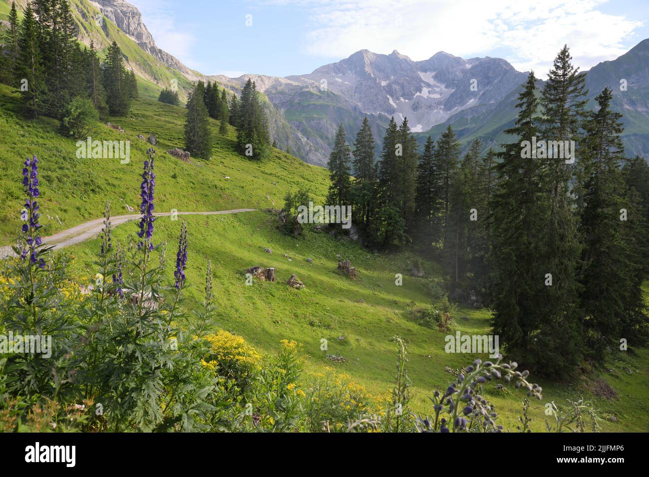 Magnifique paysage alpin à Tannberg près de Schröcken en Autriche. Juillet 2022. Banque D'Images