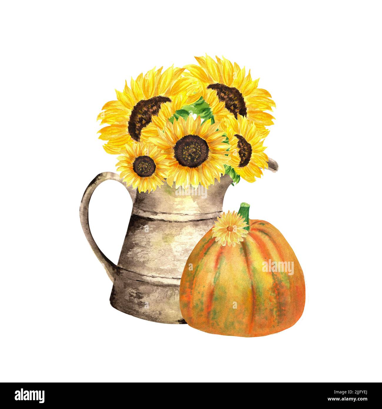 Une composition de jardin d'automne. Un ensemble d'illustrations aquarelles sur le thème de la récolte d'automne. Une vieille carafe de jardin avec un bouquet de tournesols, c Banque D'Images