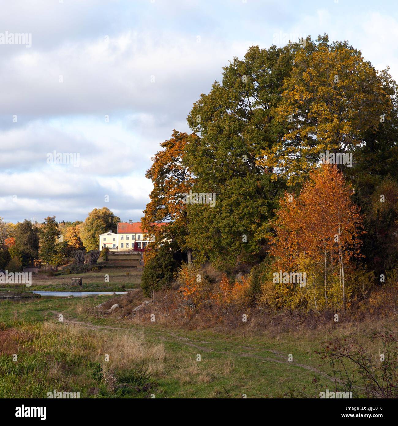 ROSLAGEN, SUÈDE, LE 10 OCTOBRE 2016. Vue du matin, arbres colorés, un domaine en arrière-plan. Garez-vous sur la gauche. Utilisation éditoriale Banque D'Images