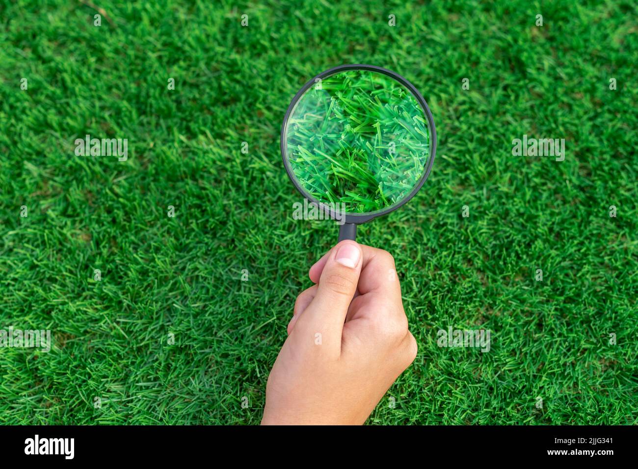 Mise au point sélective d'une main tenant une loupe sur le gazon artificiel. Image agrandie des feuilles vertes d'une herbe antibactérienne Banque D'Images