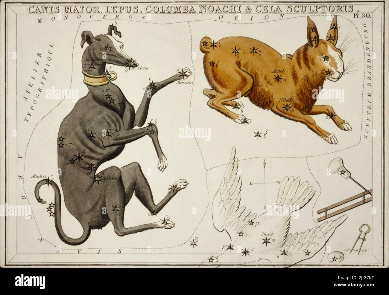 Carte astronomique de Canis Major, Lepus, Columba Noachi et le Cela Sculptoris , 1831, Sidney Hall Banque D'Images