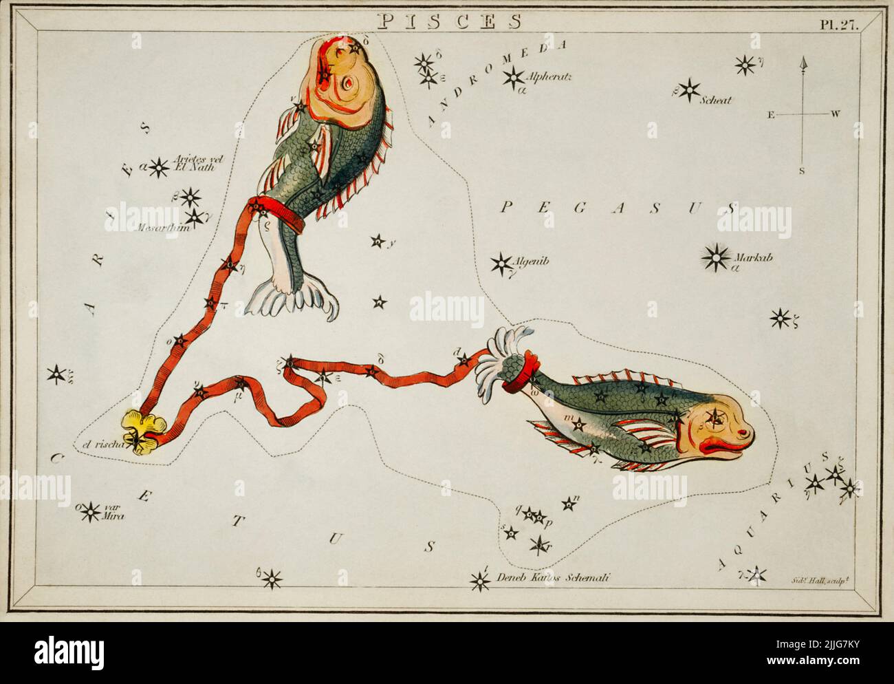 Illustration de la carte astronomique des poissons , 1831, Sidney Hall Banque D'Images