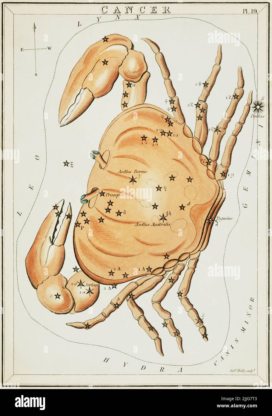 Tableau astronomique illustration du cancer, 1831, Sidney Hall Banque D'Images