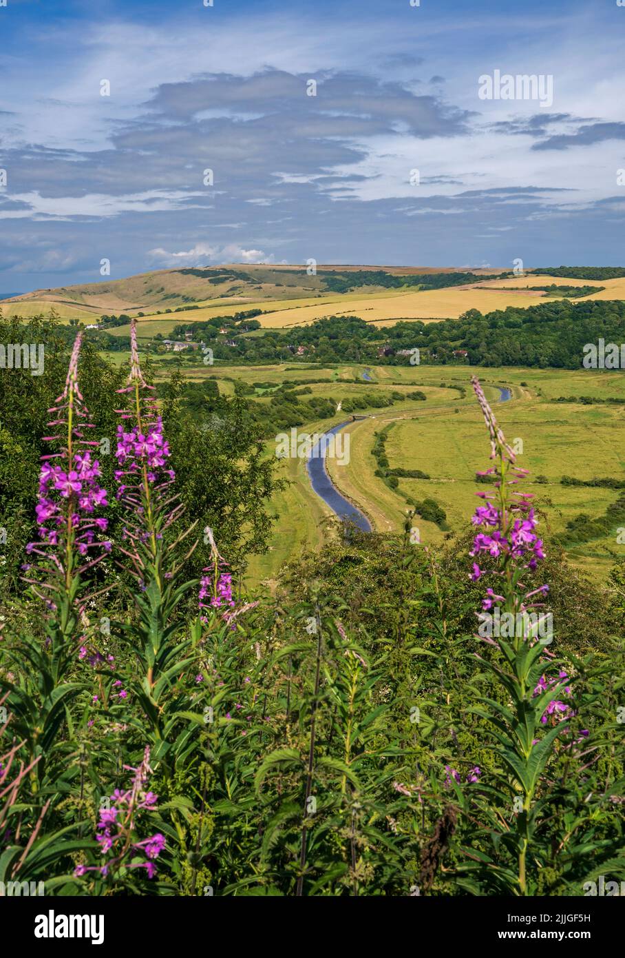 Rivière Cuckmere et vallée sur les South Downs, East Sussex, Angleterre, Royaume-Uni. Banque D'Images