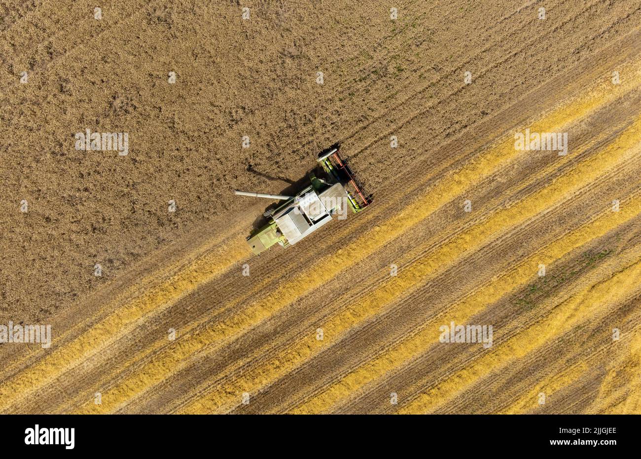 Paysage avec récolte de blé du champ vu d'en haut, moissonneuse-batteuse Banque D'Images