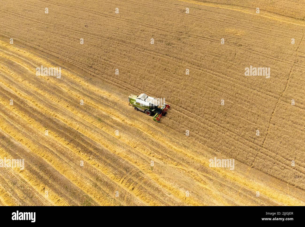 Paysage avec récolte de blé du champ vu d'en haut, moissonneuse-batteuse Banque D'Images