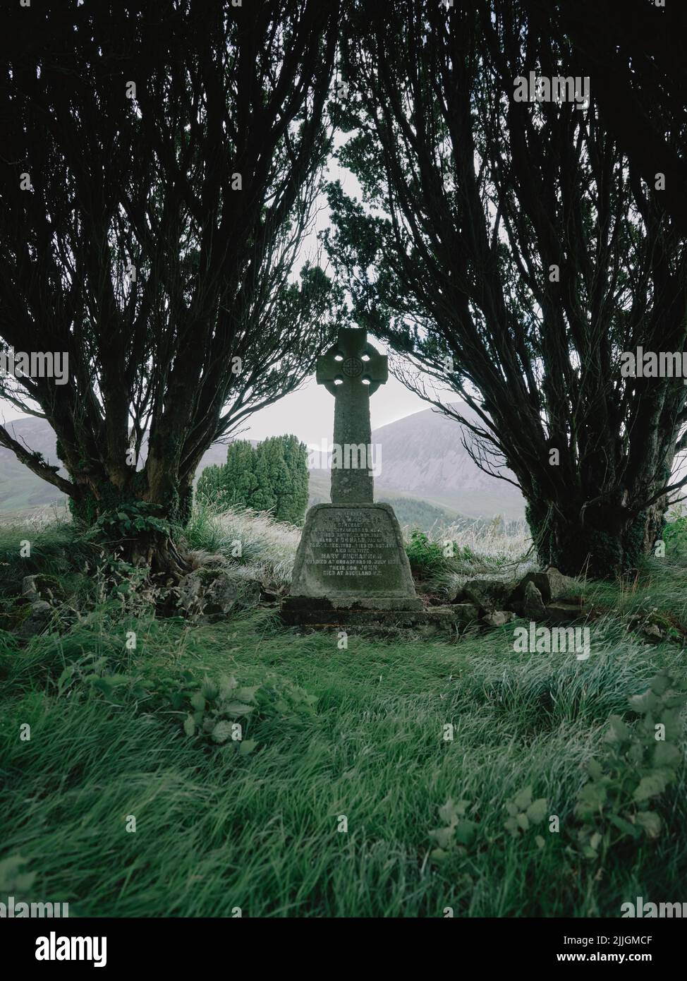 Une pierre de pierre de la Croix celtique encadrée par des buissons dans le cimetière de Cill Chriosd ou Kilchrist une ancienne église paroissiale ruinée de Strath, Skye Ecosse Banque D'Images