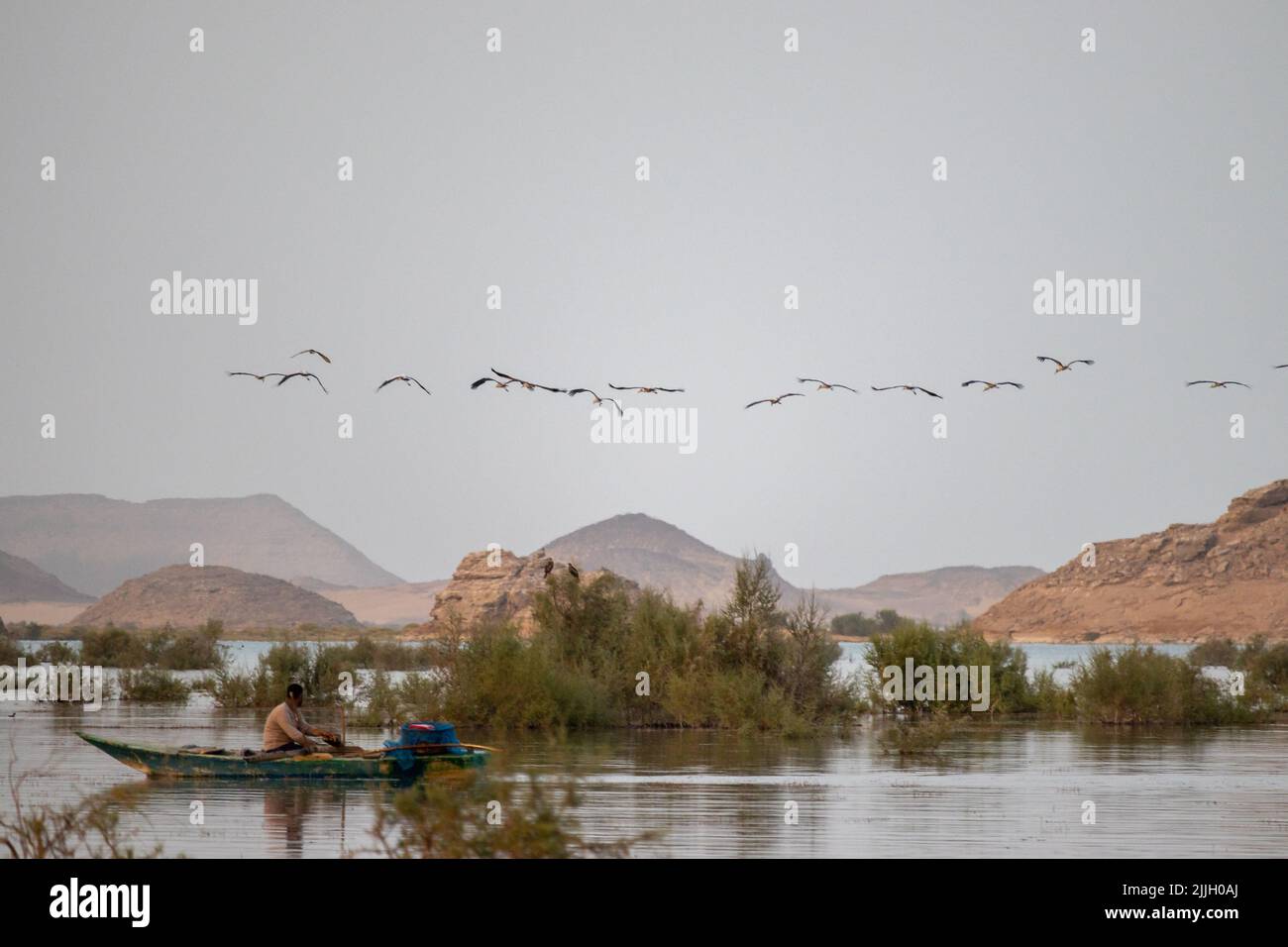 Un pêcheur sur un bateau sous un troupeau d'oiseaux volant au-dessus d'une rivière en Égypte Banque D'Images