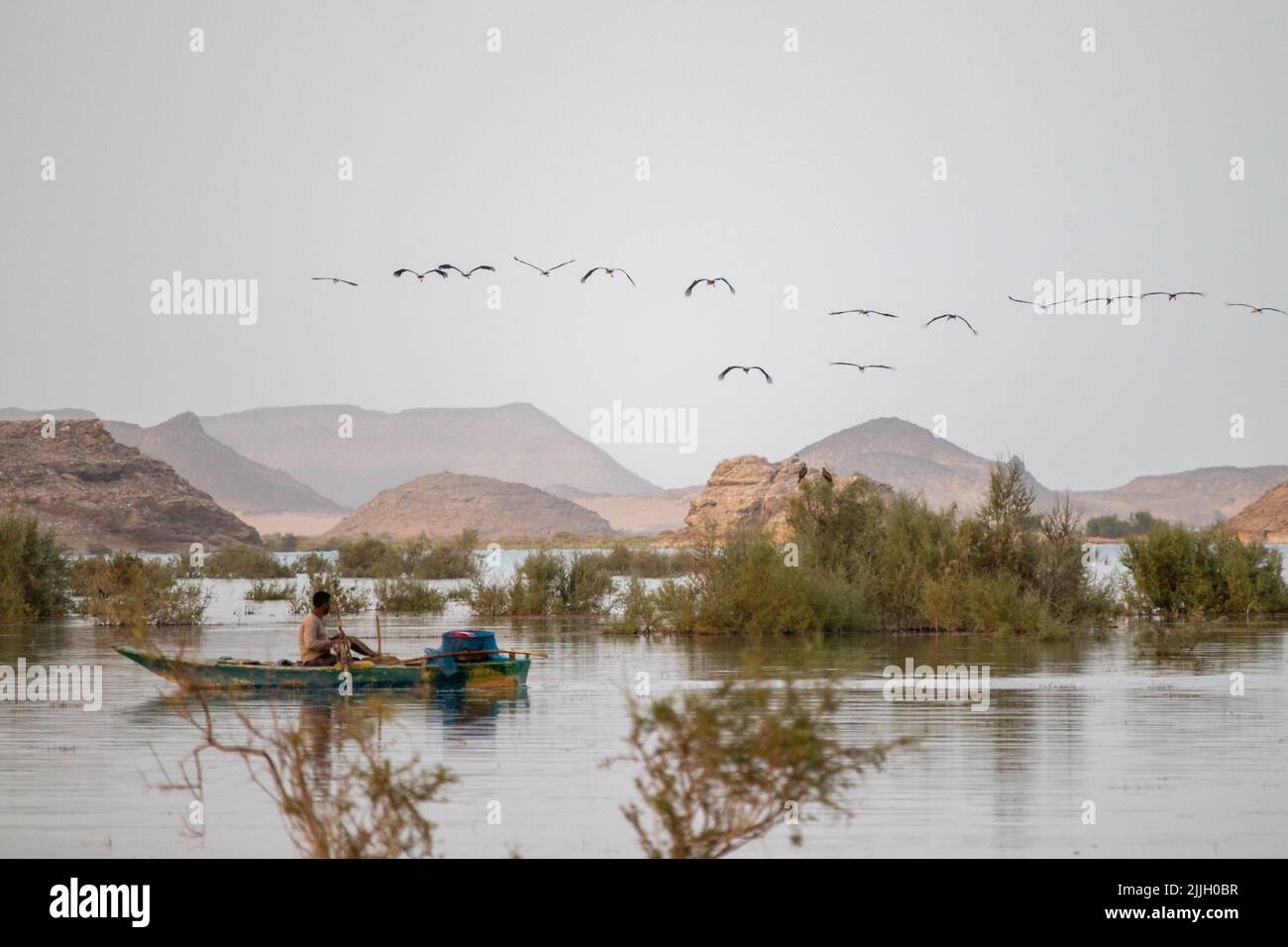 Un pêcheur sur un bateau sous un troupeau d'oiseaux volant au-dessus d'une rivière en Égypte Banque D'Images