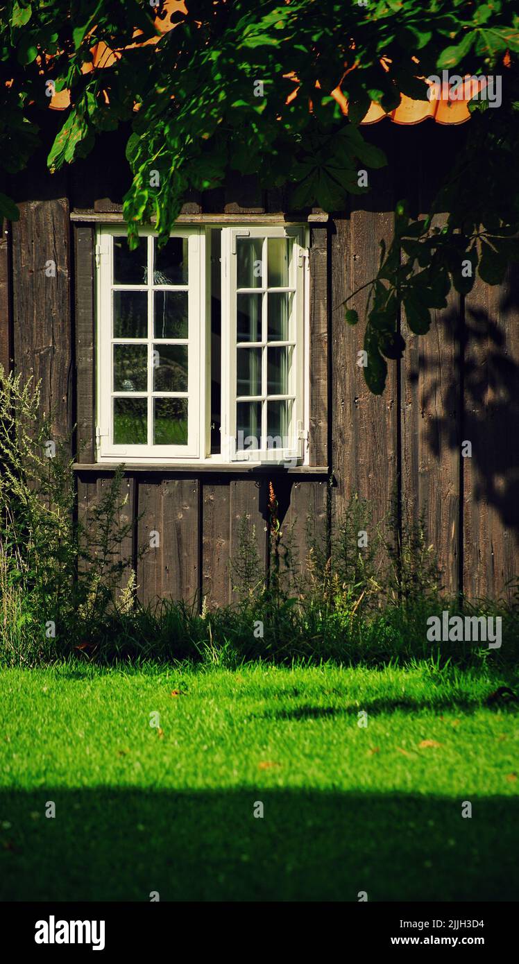 Un cliché vertical d'une petite cabane en bois avec ses fenêtres à moitié ouvertes dans une forêt Banque D'Images