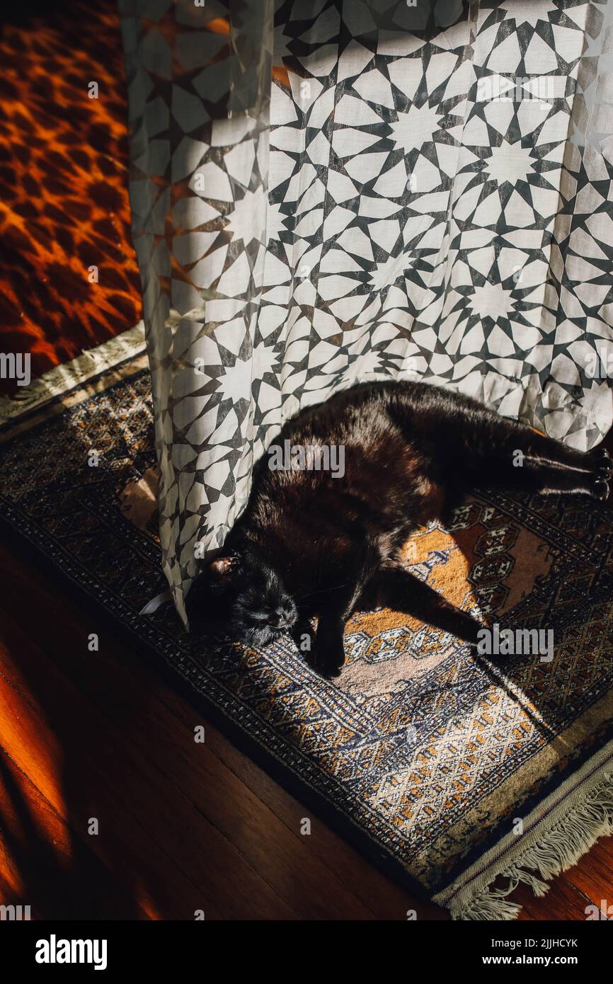 chat noir se prélassant au soleil sur un tapis de prière Banque D'Images