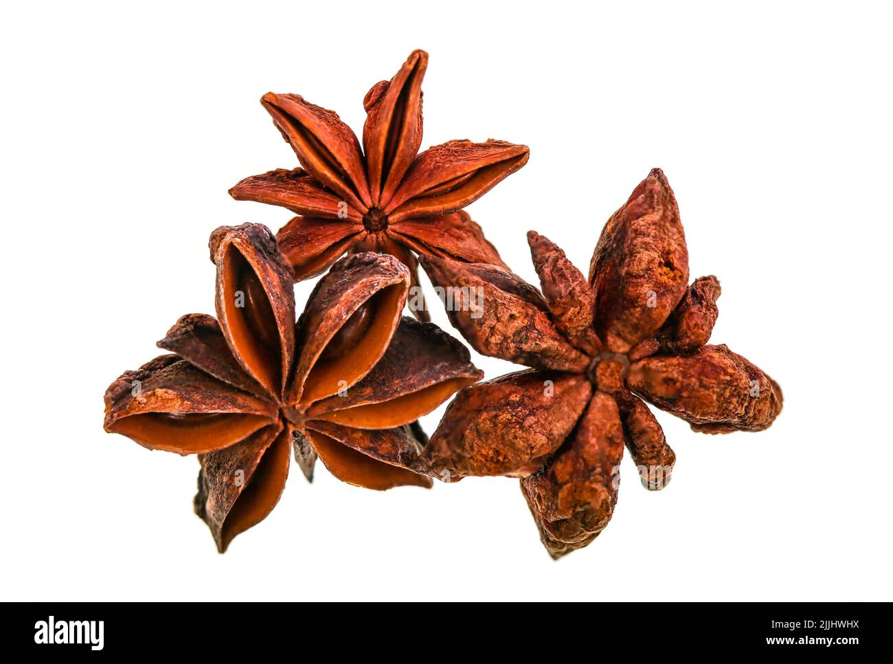 L'anis étoilé est le fruit d'une plante appelée Illicium verum, une plante à feuilles persistantes originaire du Vietnam et du Sud-Ouest de la Chine Banque D'Images