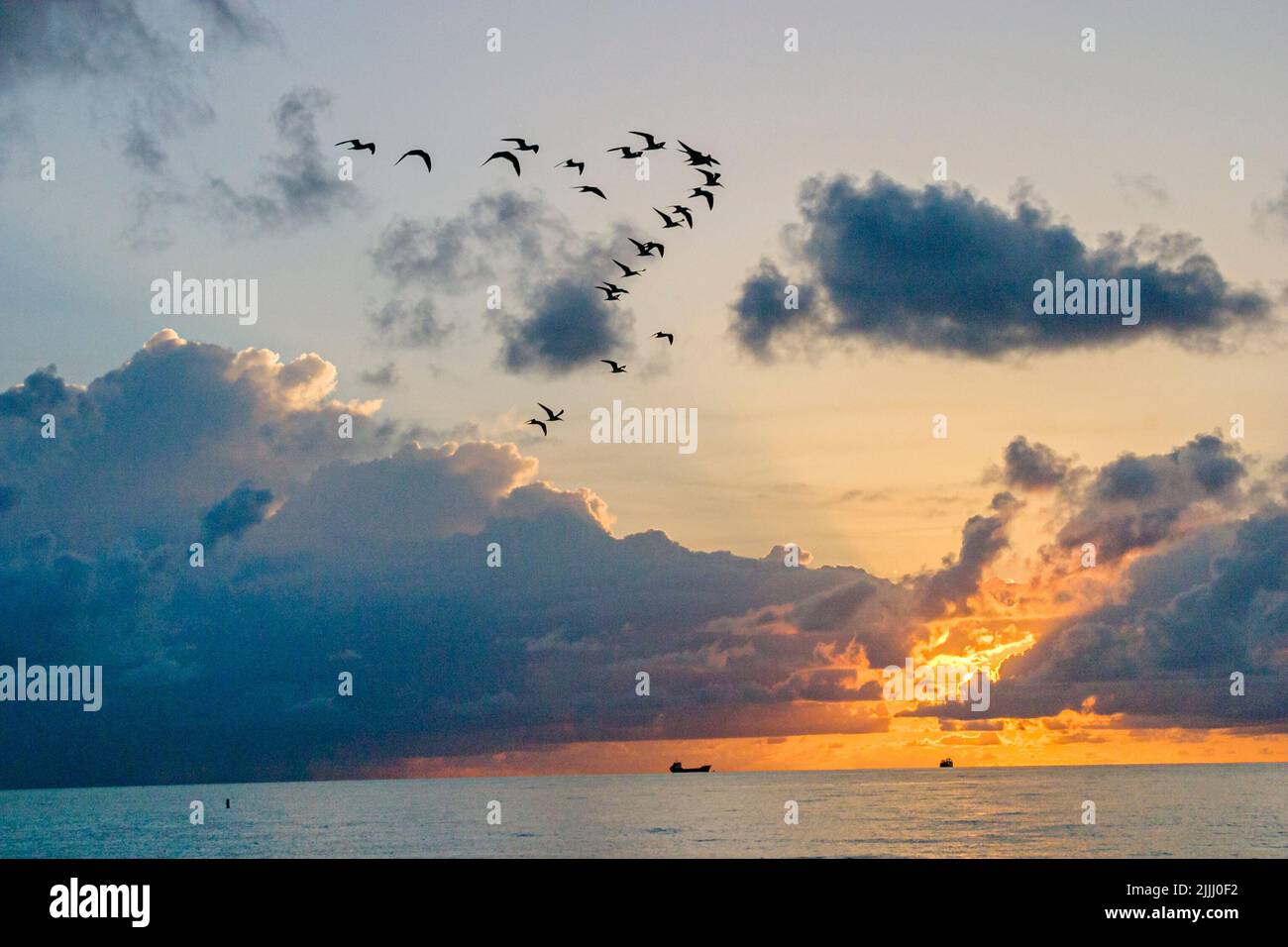 Miami Beach Florida, océan Atlantique littoral littoral littoral bord de mer, formation d'oiseaux lever de soleil nuages ciel météo scène dans une photo Banque D'Images