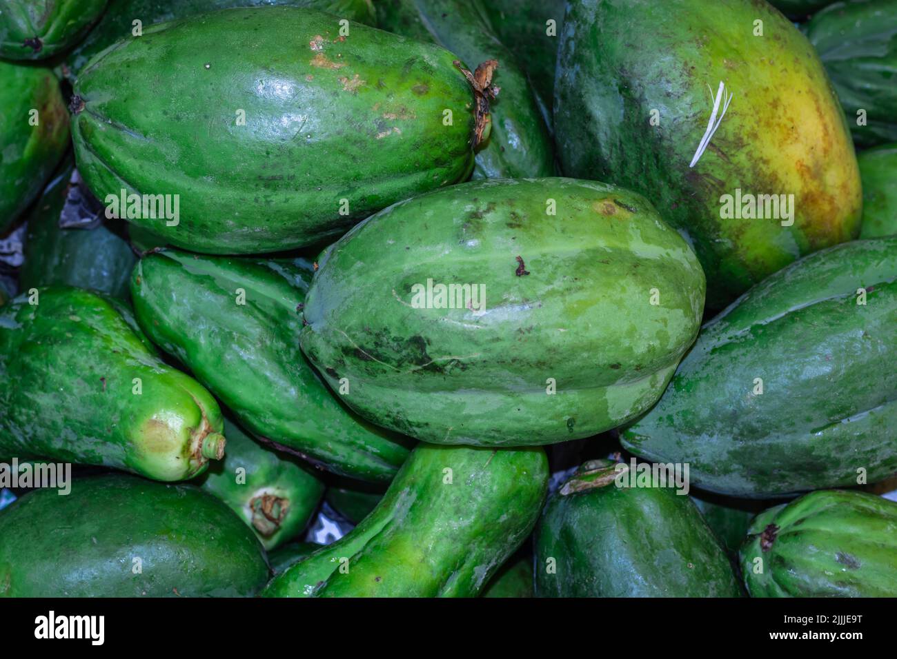 papaye fraîche biologique non mûre pour légumes de la ferme gros plan Banque D'Images