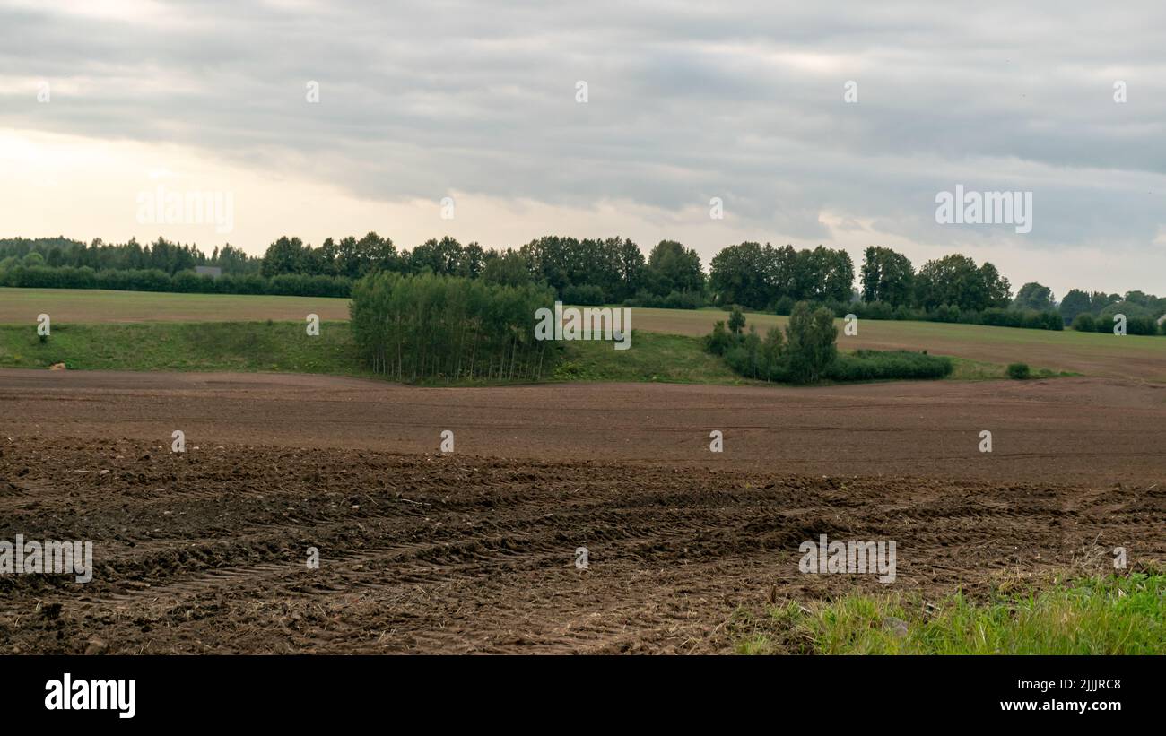 paysage avec des champs de céréales labourés en automne, sur la ligne de forêt à l'horizon, nuages gris dans le ciel. Banque D'Images