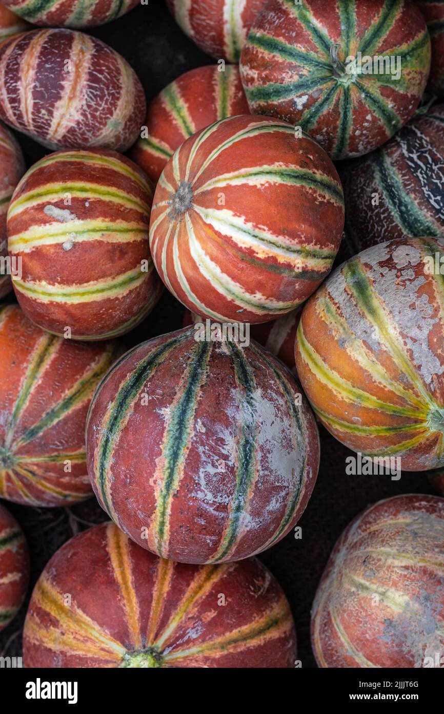 melon de musc frais bio de la ferme de près à partir de différents angles Banque D'Images