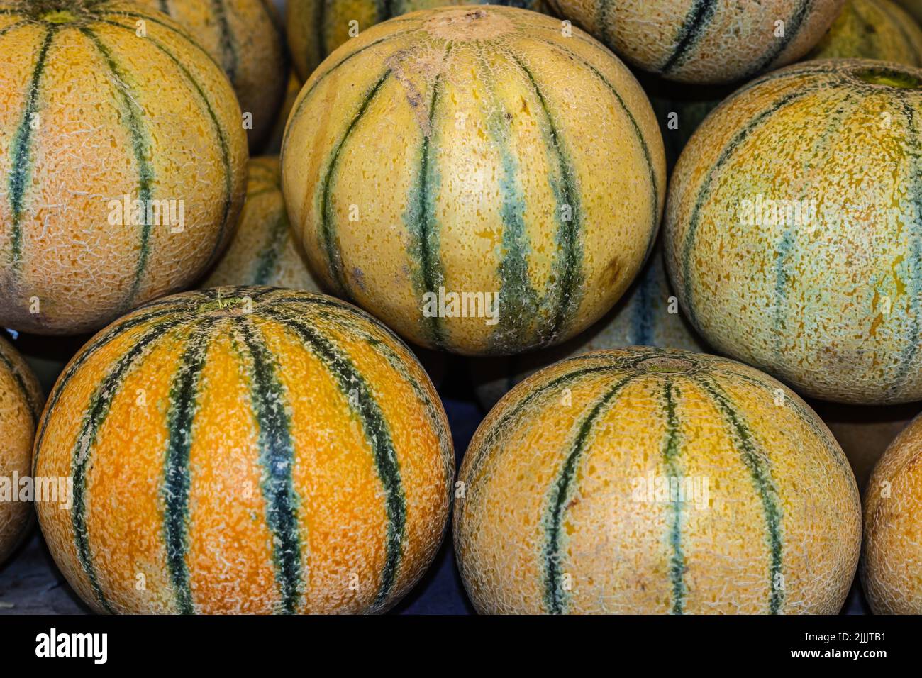 melon de musc frais bio de la ferme de près à partir de différents angles Banque D'Images