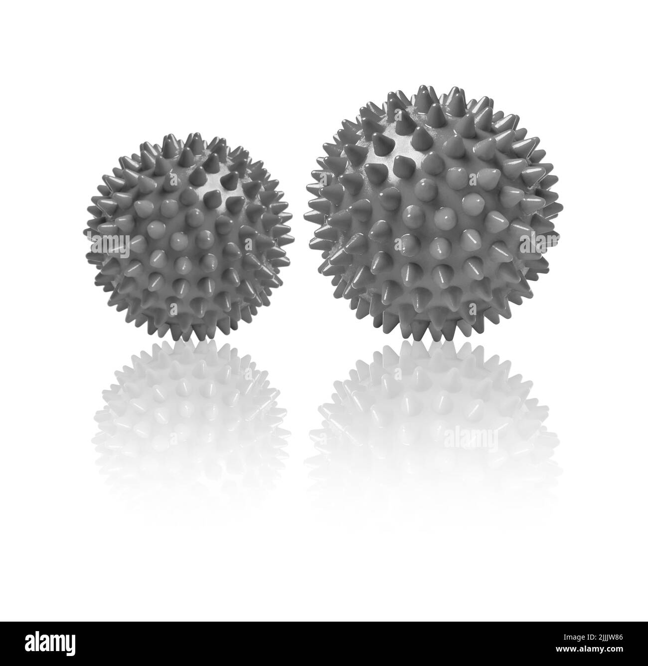 Deux balles de massage épineuses grises isolées sur du blanc. Concept de physiothérapie ou de conditionnement physique. Gros plan d'une boule en caoutchouc colorée pour les dents de chien sur une couleur blanche Banque D'Images