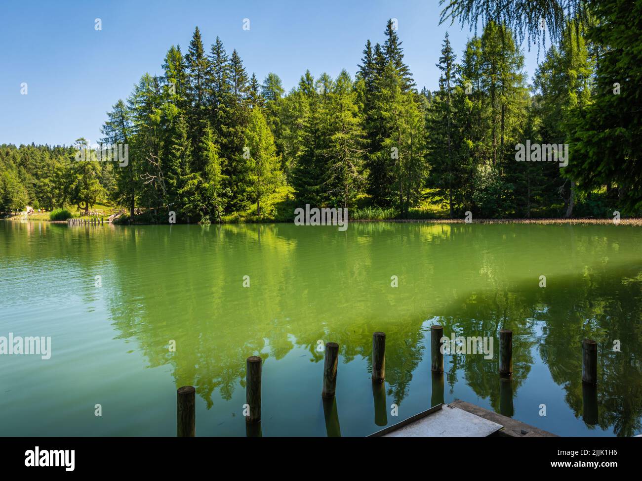 Le lac de Tret est parmi les plus beaux lacs forestiers du Tyrol du Sud, Italie - Europe. Le lac de Tret est l'un des endroits les plus appréciés de la Val di non Valley. Banque D'Images