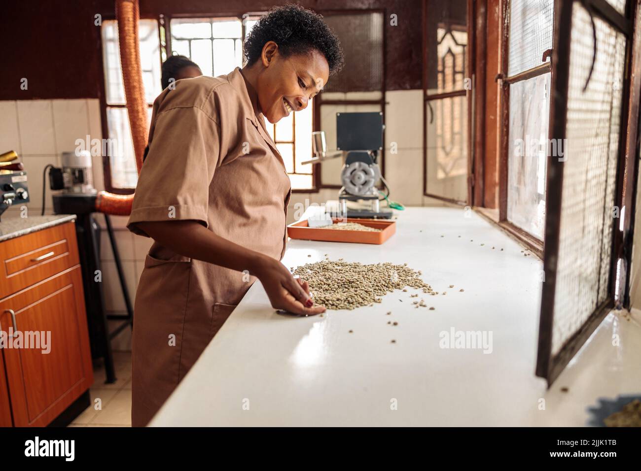 Une femme ravie à la recherche et au tri des grains de café pour les déguster Banque D'Images