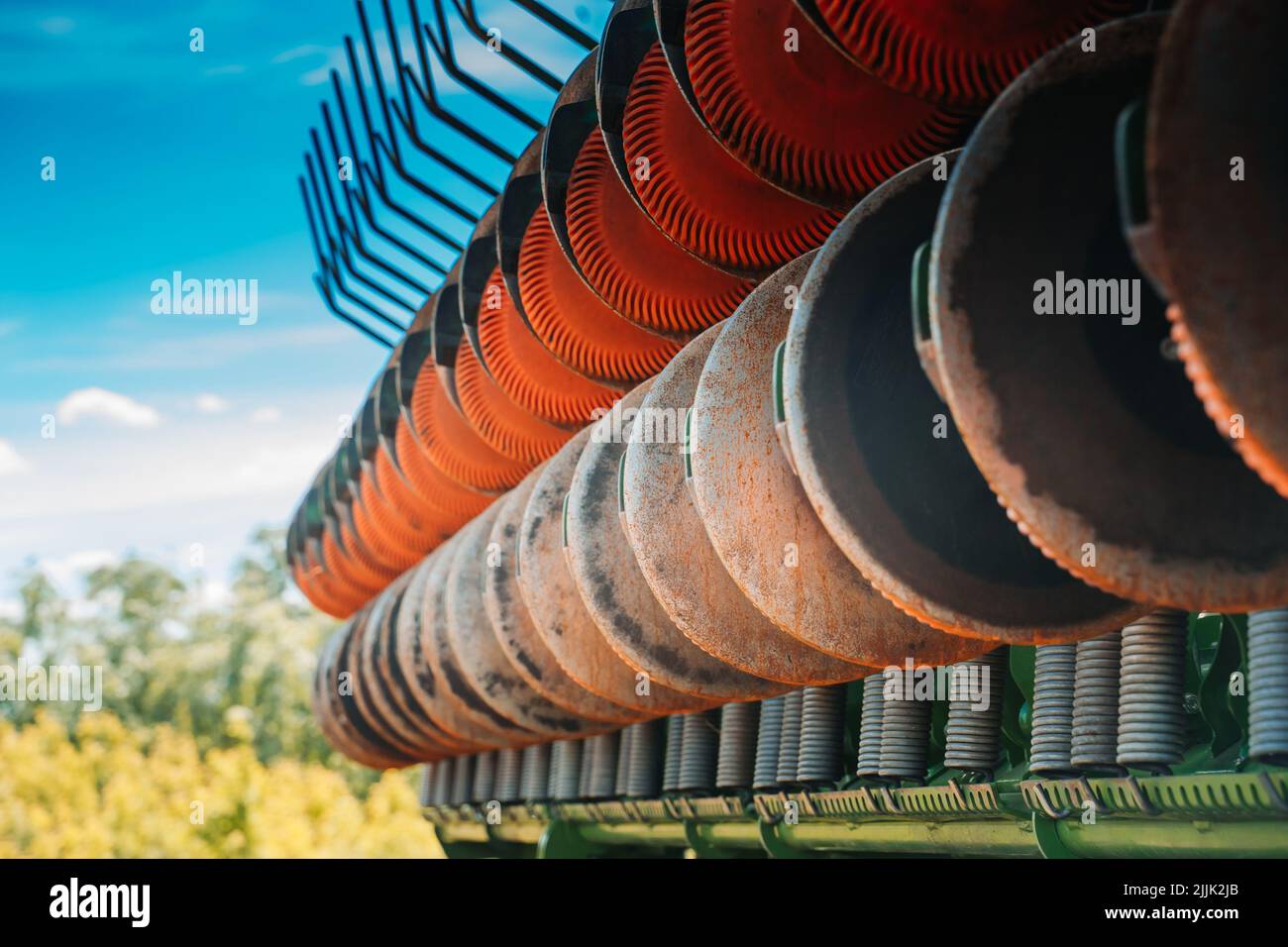 Grain du semoir en rangées. Dispositif de semis de semences. Activité agricole. Gros plan. Semoir agricole moderne modifié Banque D'Images
