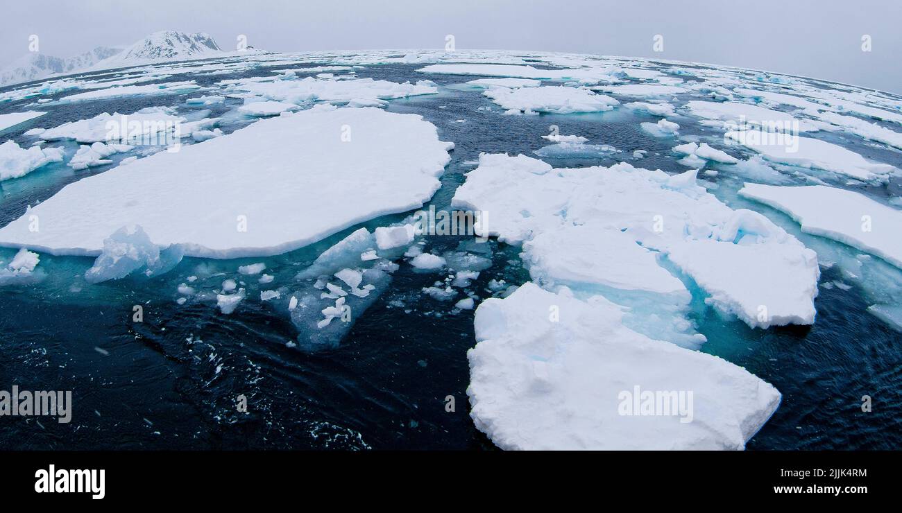 Dérive glace flottante, Terre Albert I, Arctique, Spitsbergen, Svalbard, Norvège, Europe Banque D'Images
