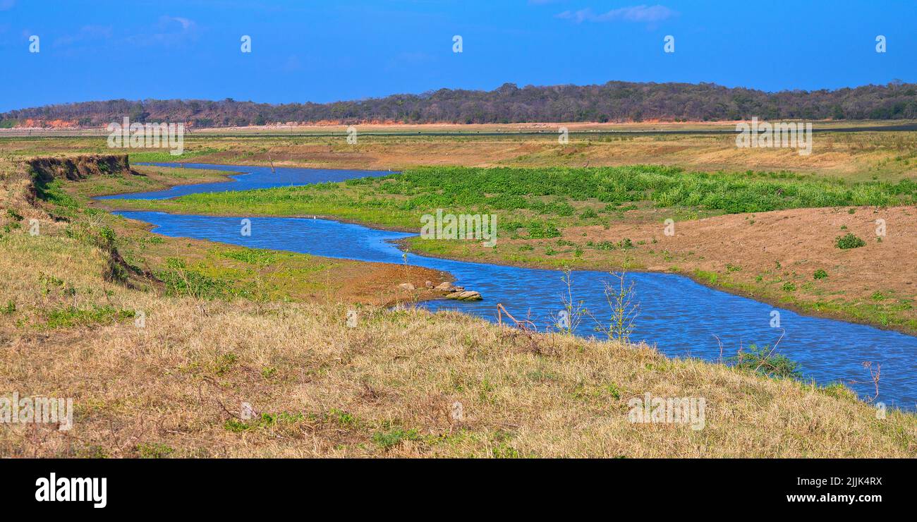 Paysage de la rivière, parc national de Kudulla, Sri Lanka, Asie Banque D'Images