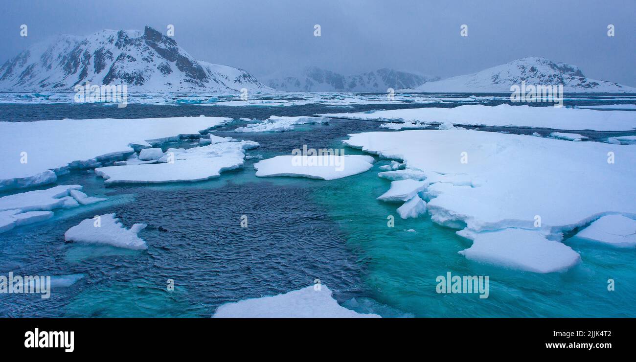 Dérive de la glace flottante et des montagnes enneigées, Albert I Land, Arctic, Spitsbergen, Svalbard, Norvège, Europe Banque D'Images