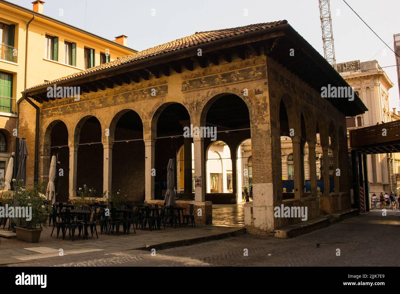 Trevise