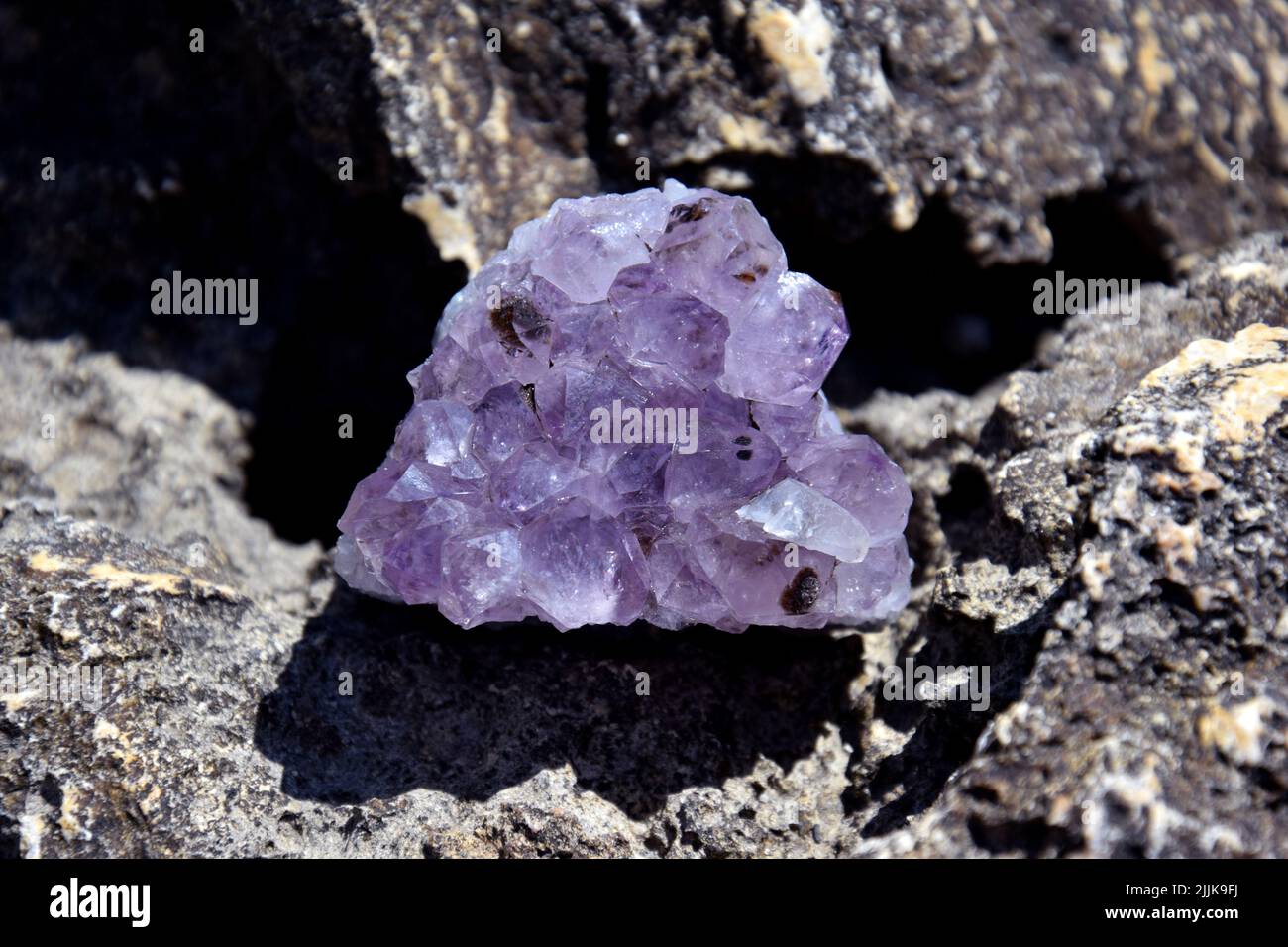 Une belle améthyste druze se trouve sur une pierre. Une épissure de cristaux violets de quartz semi-précieux. Banque D'Images