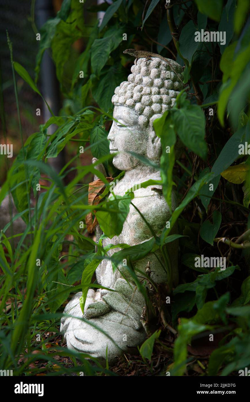 Une photo verticale d'une statue de bouddha avec un lézard sur sa tête dans la nature Banque D'Images