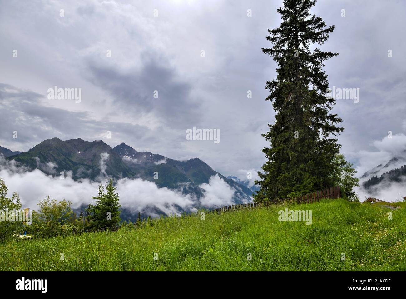 Splendide vallée de montagne est couverte de brouillard après la pluie avec des prairies alpines vertes. Paysage brumeux. Emplacement place Alpes, Europe. Banque D'Images
