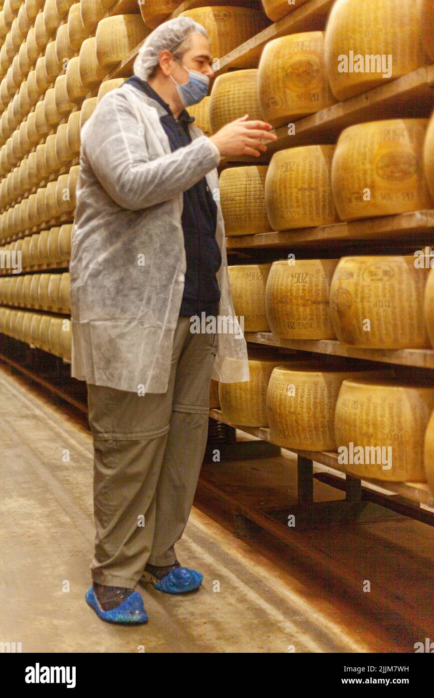 Un cliché vertical d'un homme dans une fromagerie italienne dans une ferme laitière de Fidenza, Parme, Italie Banque D'Images