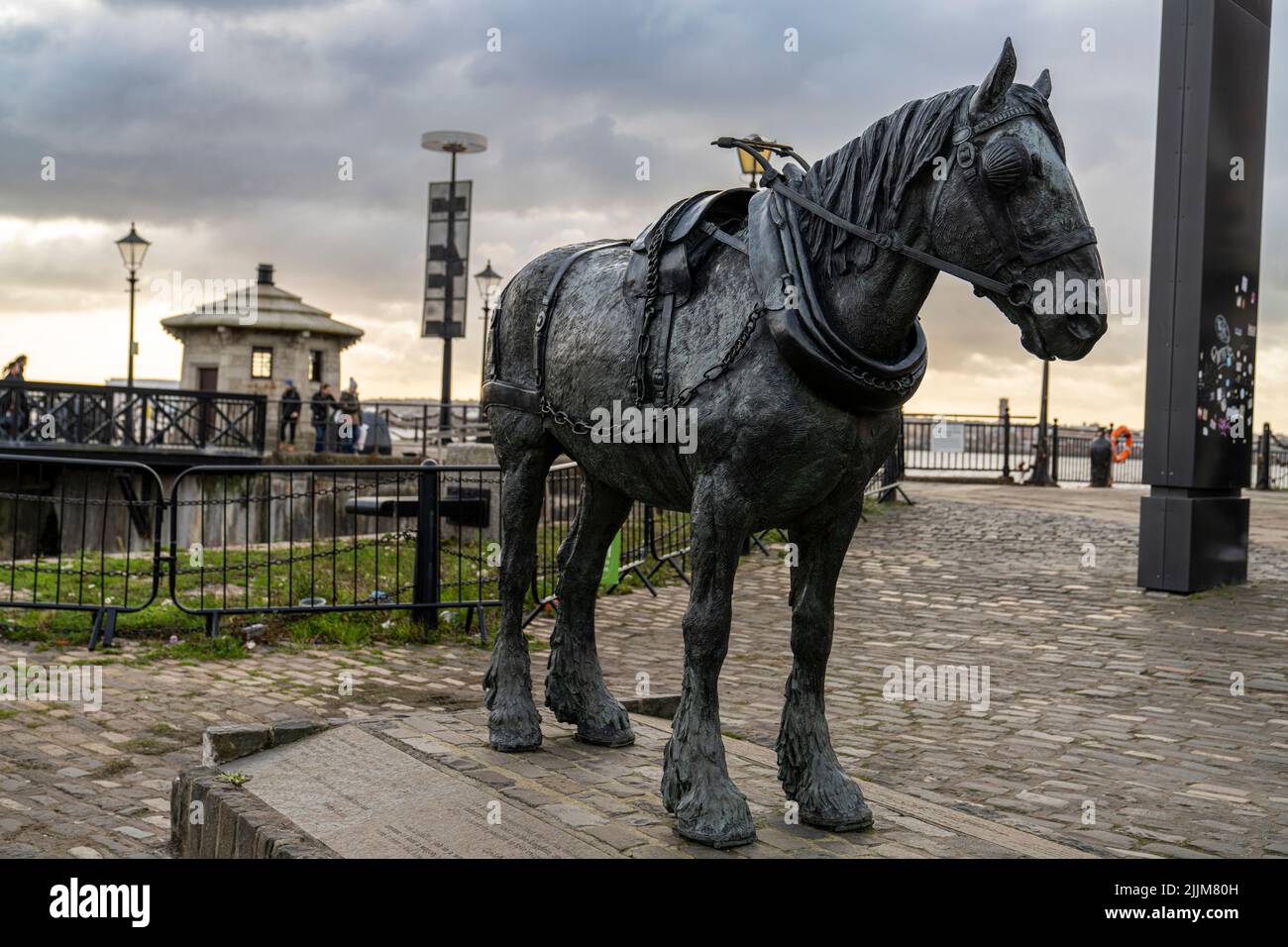 Un gros plan de la statue d'un cheval de travail à Liverpool Banque D'Images